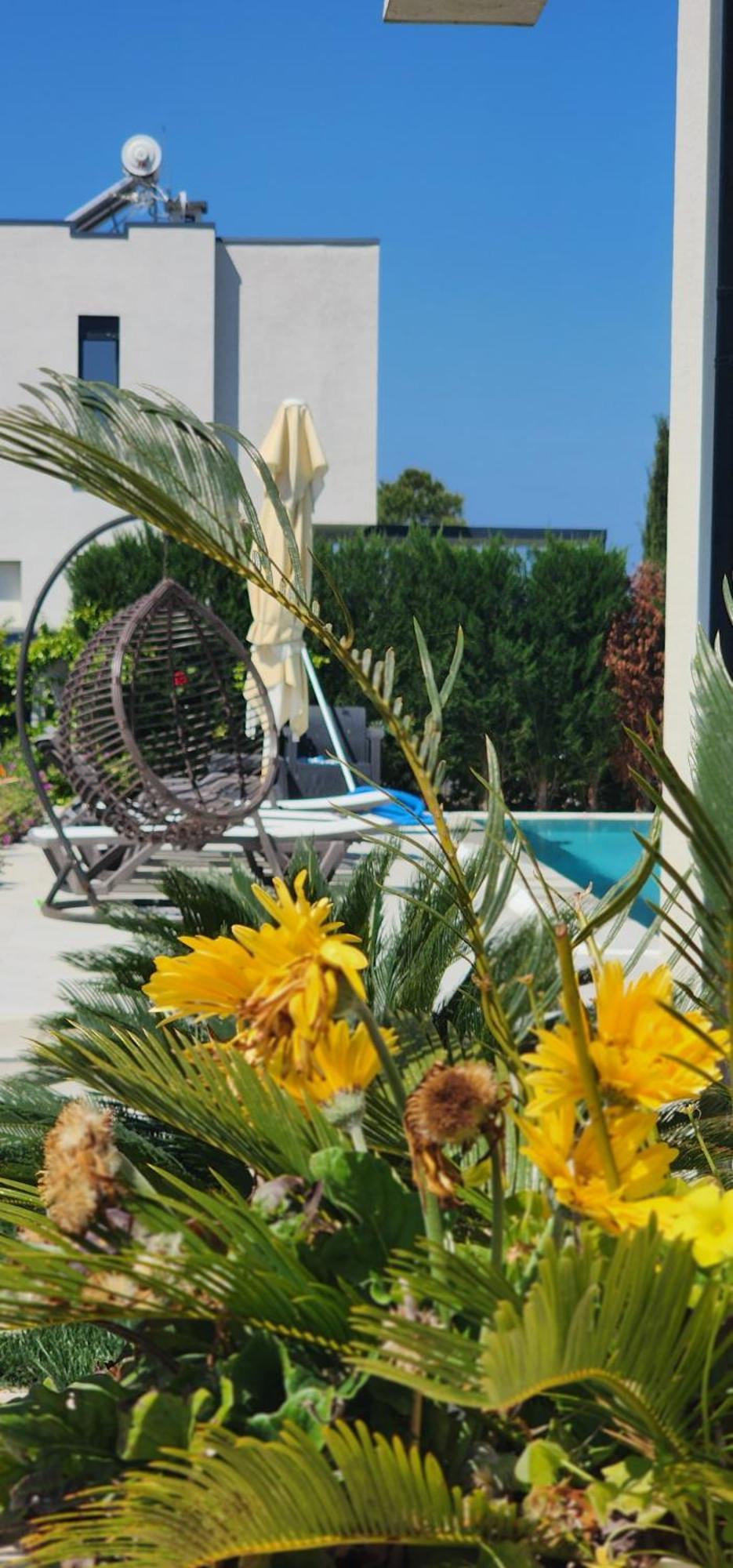 Vila 29 Valamar ดูร์เรส ภายนอก รูปภาพ